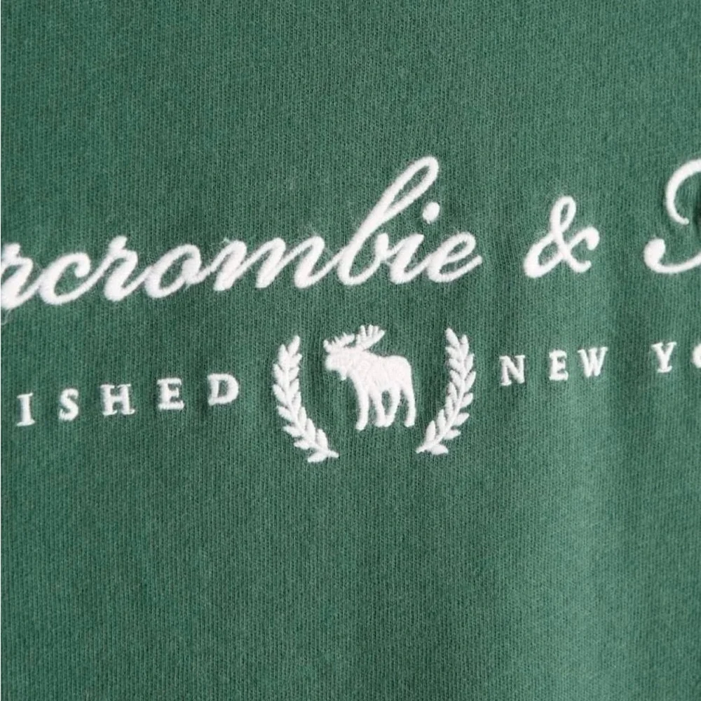 Abercrombie and Fitch Logo Tee size XXL NWT